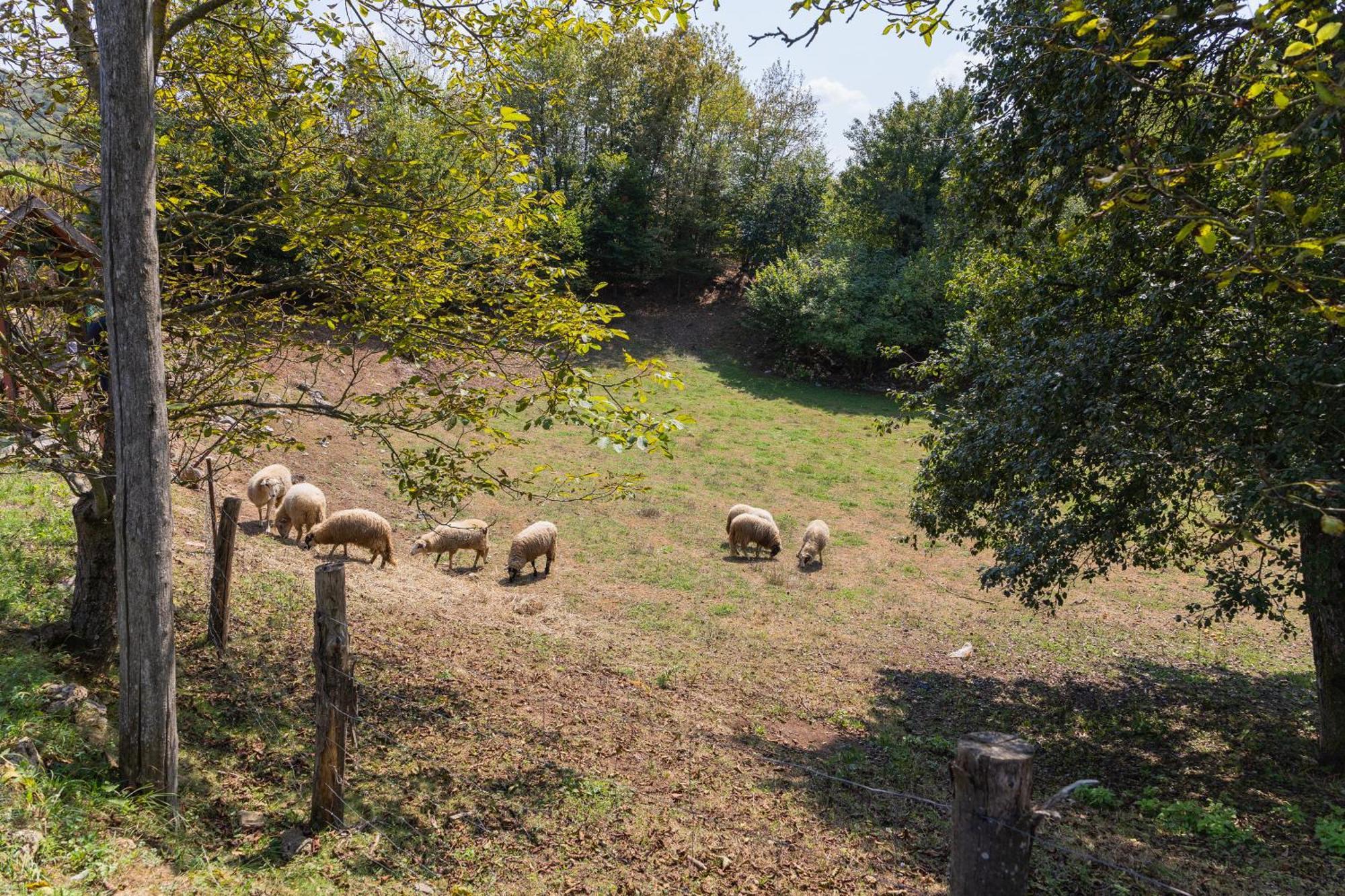 Willa Peace Creek Slunj Zewnętrze zdjęcie